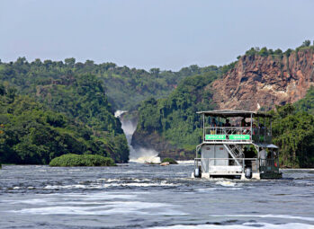 river_nile_boat_cruise-murchison_falls-17-51-1 (1) birding in Murchison falls national park