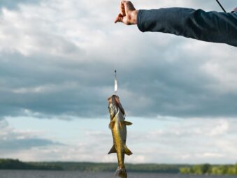 Sport Fishing Uganda