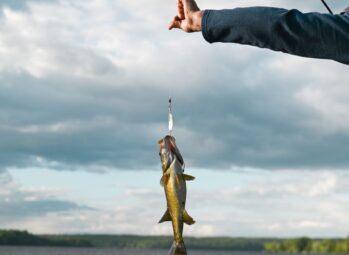 Sport Fishing Uganda