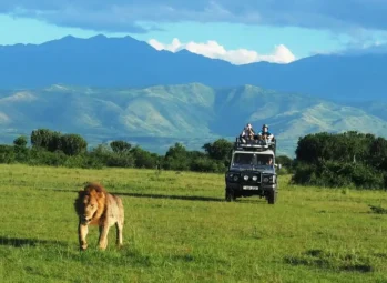 Elephant Plains Lodge, Queen Elizabeth NP