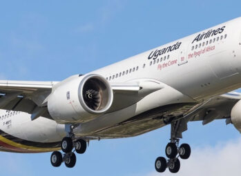 10 Expert Tips for an Unforgettable Uganda Budget Safari – Affordable Gorilla Trekking in 2026!