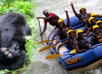 Uganda Safari Activities: Ultimate Guide to Exploring Nature, Adventure, and Culture Across Top Destinations in 2026!