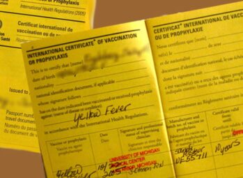 Best Places to Visit in Africa in 2026 – Top 20 Destinations for an Unforgettable Adventure