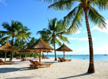 The 2 Best Times to Book Chimpanzee Trekking Kibale Permits for a 2026/2027 Safari (And Why Waiting Will Cost You)